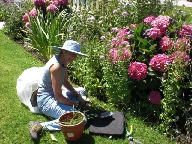 Volunteer Gardener at the Pt. Fermin Lighthouse