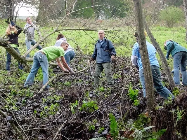 Help Restore Beaconsfield Canyon--last Saturday of the month