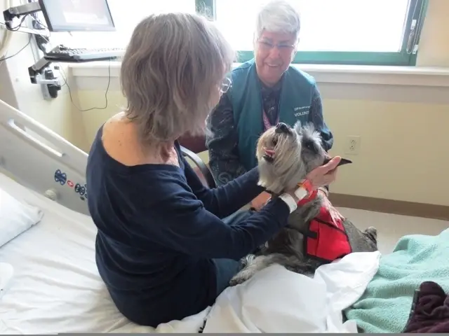 Win the Popularity Contest by Volunteering with Your Certified Therapy Dog