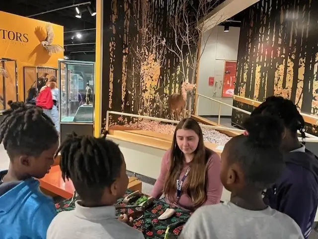 STEAM FEST at the Pink Palace Museum
