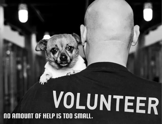 Furkids Adoption Counselors / Adoption Closers