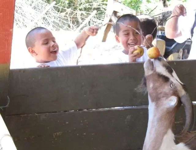 connect kids with our organic farm & wild spaces