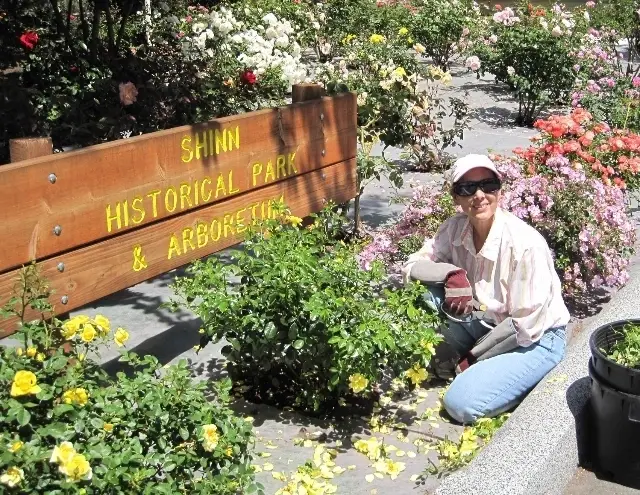 Gardeners Needed - Tuesdays  10-12-Shinn Park