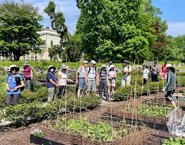 Gardening - Sundays and Thursday Mornings