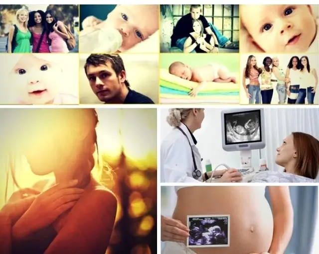 Social Media Manager/ Intern