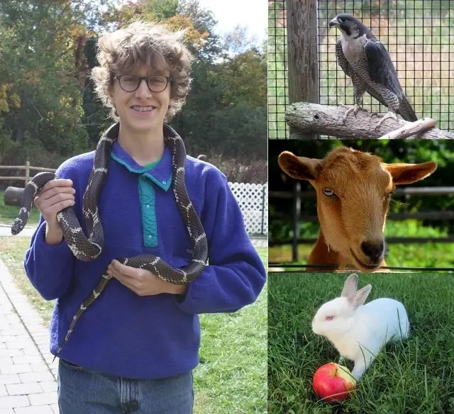 Animal Care