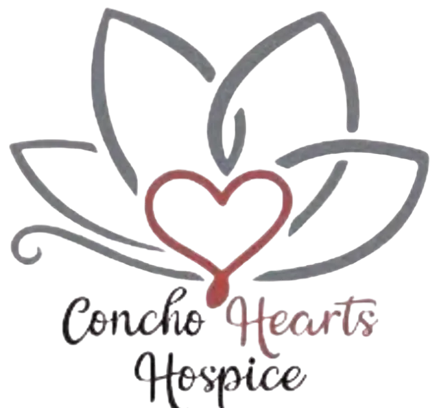 Immediate Need: Be Someone's Steady Presence — Hospice Companion Volunteer (Allen, TX)