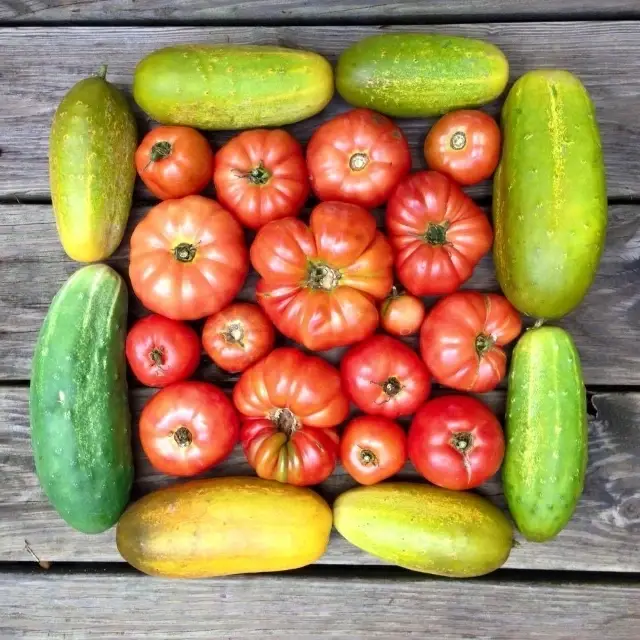 2025 Produce Giveaway: Creating Community