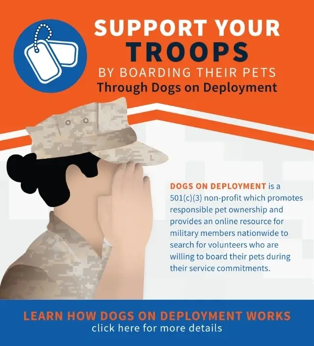 Program Development Volunteer Opportunity at Dogs on Deployment
