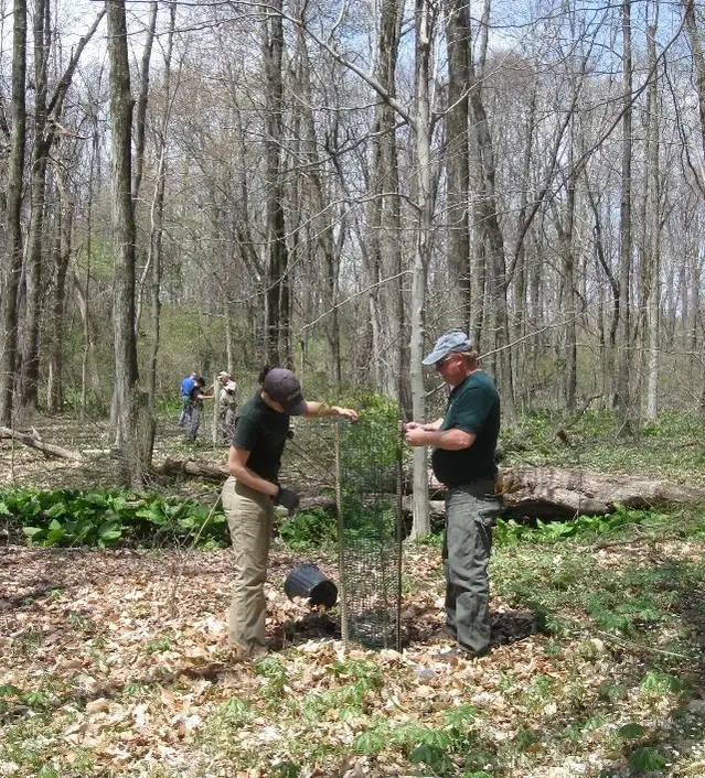 Fridays in the Forest - Property Stewardship Days