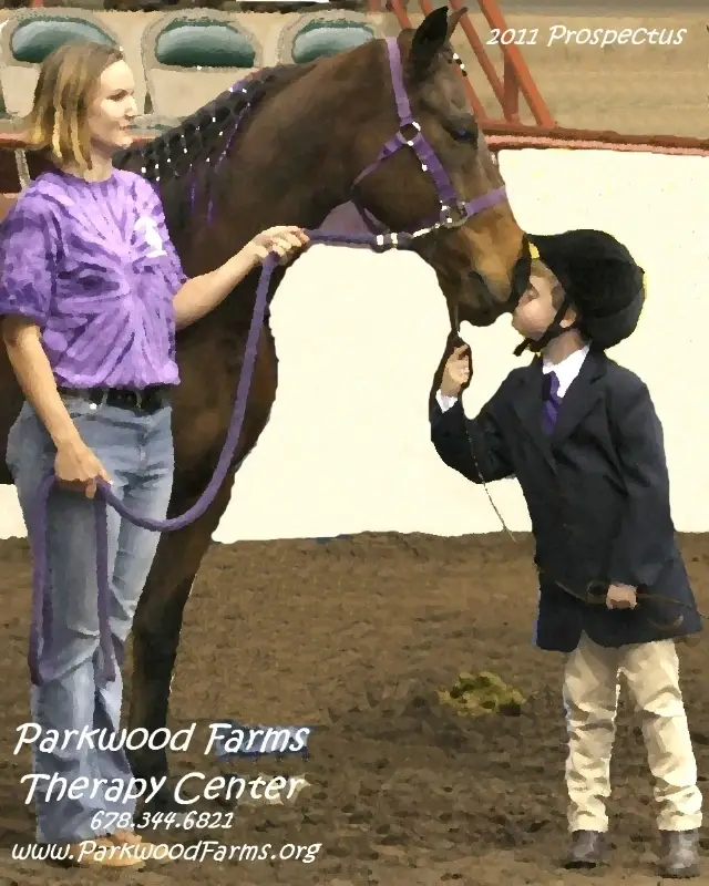 Equine Assisted Activities / Therapeutic Riding Center NEEDS Volunteers!