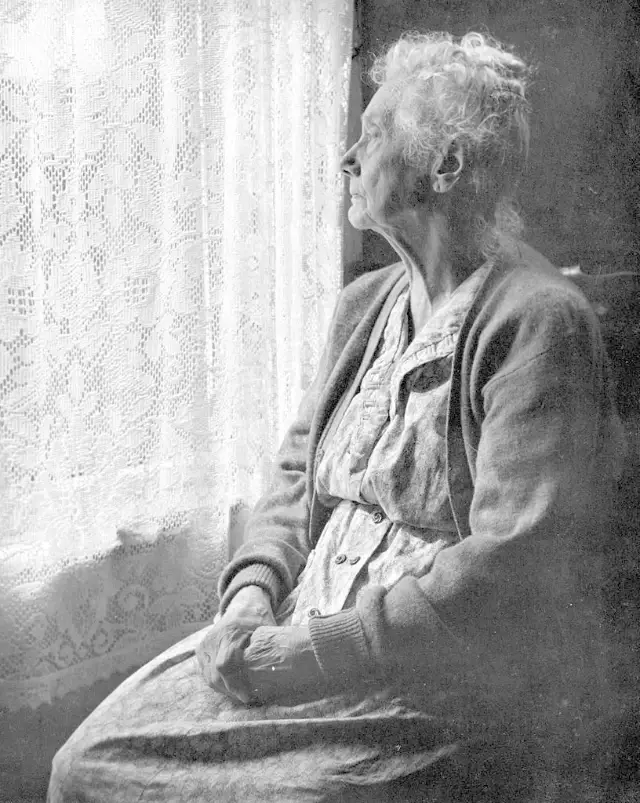 Be the VOICE for Vulnerable Adults