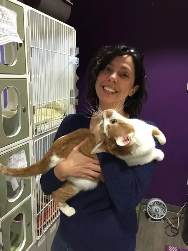 Cat Care Provider