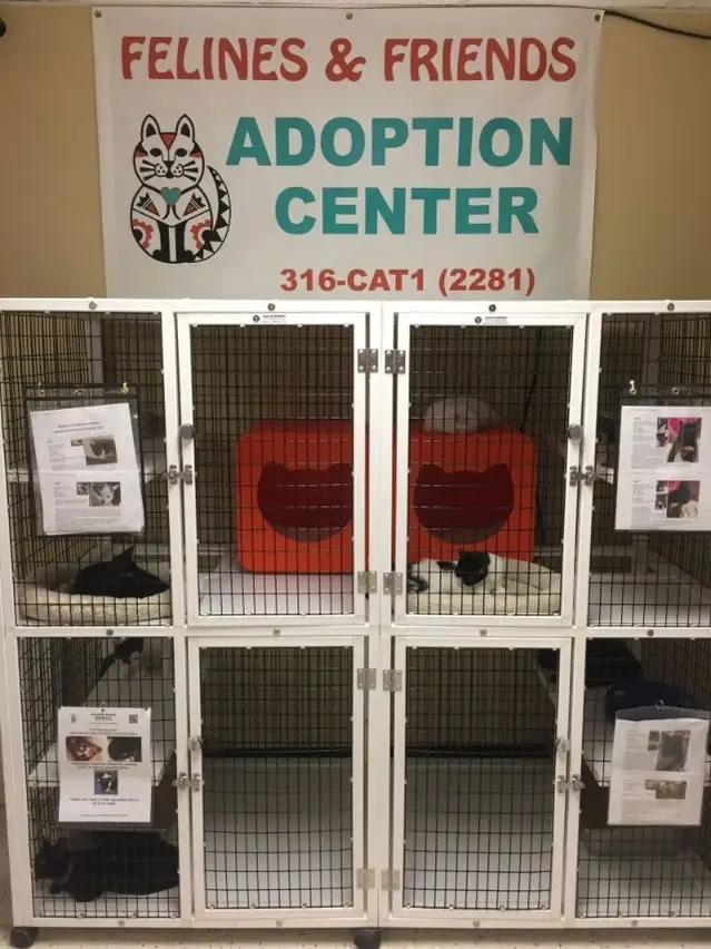 Cleaning at Adoption Center Sundays 4:00 pm - 7:00 pm