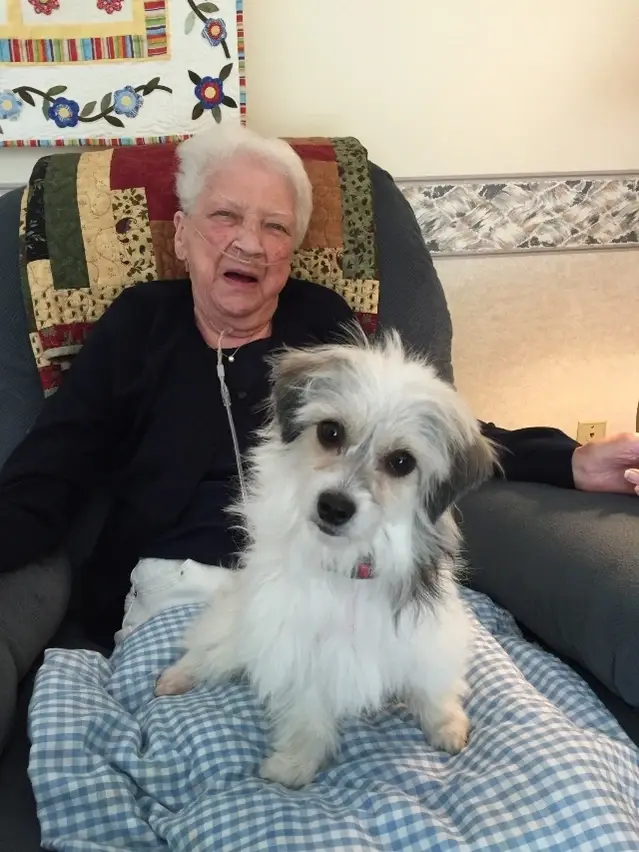 Bring your therapy dog and be the bright spot in a hospice patients day