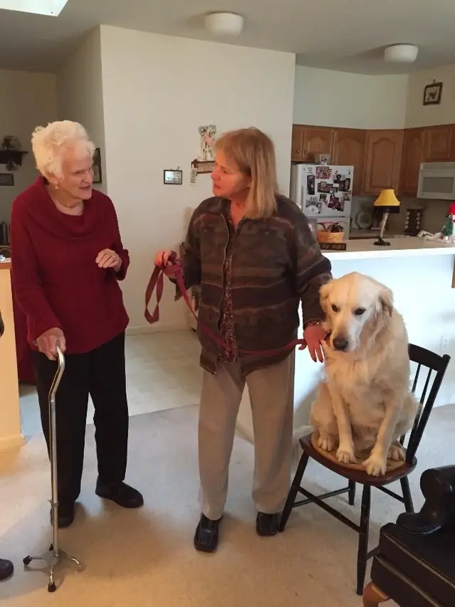 Caregiver Canines (r)