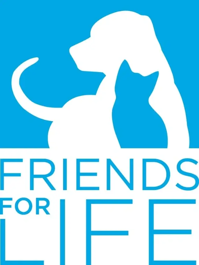 Dog Behavior Volunteer