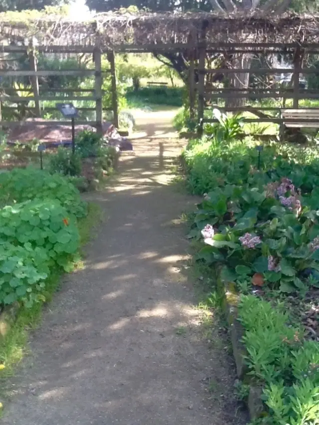 Garden Volunteer