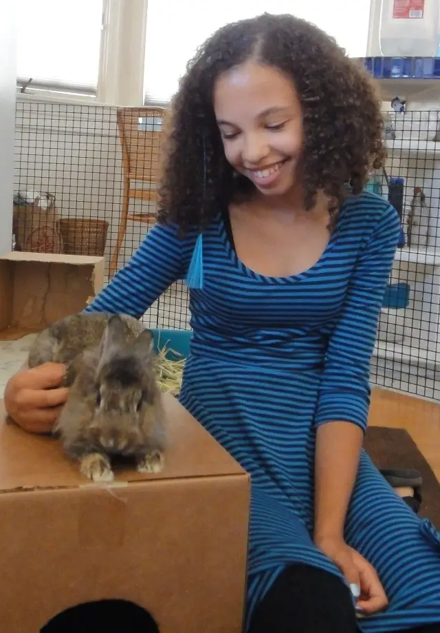 Shelter Rabbit Volunteer