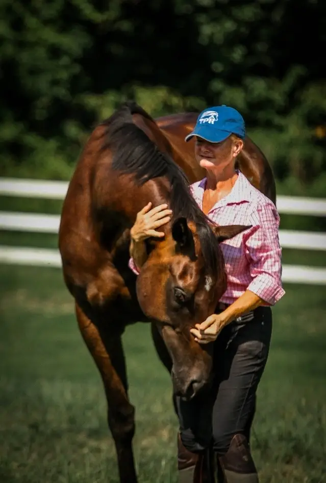 Help with our Ebay Store