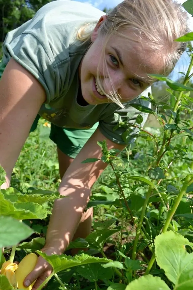 Gain experience in mental health, food and farming at Gould Farm!