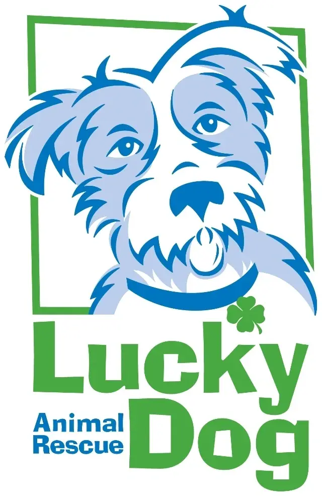 Help Dogs Get Adopted with Lucky Dog in Alexandria on January 4th!!