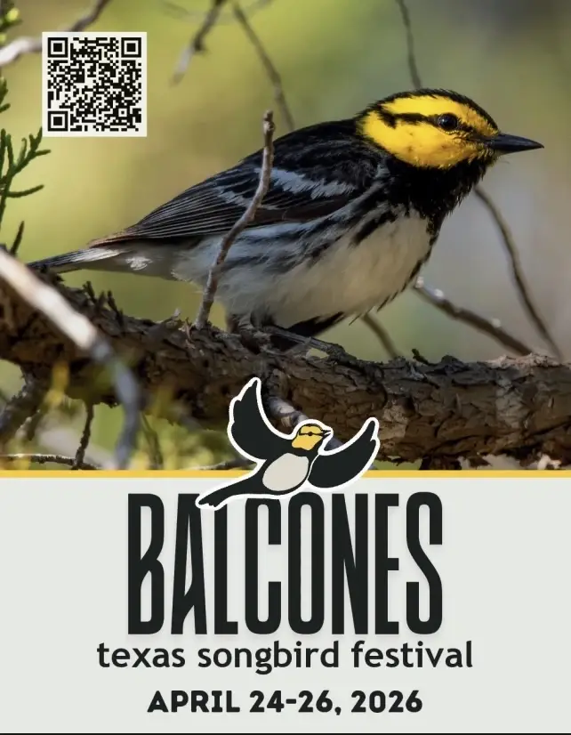 Songbird Tours - For New and Experienced Birders