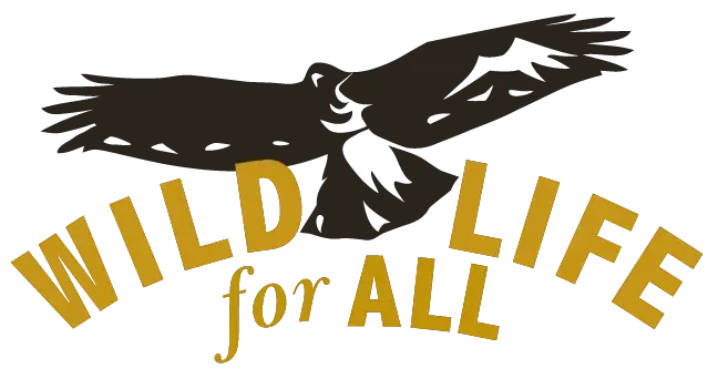 Tech Automation & Info‑Security Volunteer