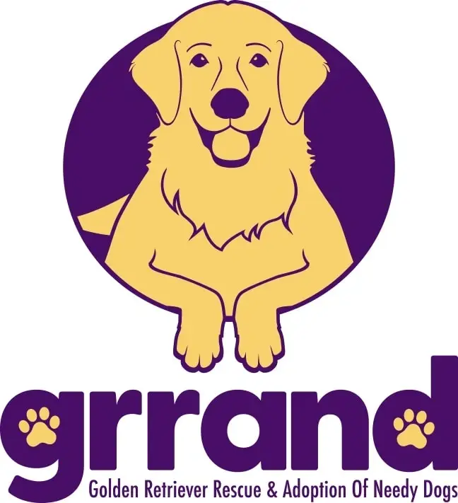 Do you like dogs, especially GRRAND Dogs? - The Public Events team could use your assistance!
