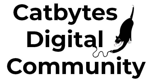 Volunteer Digital buddy