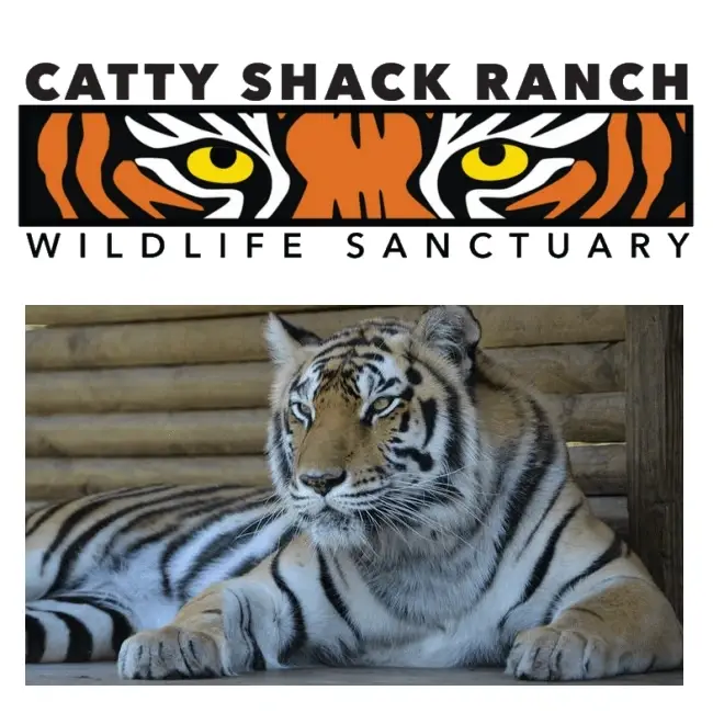 Wild Animal Sanctuary Needs Volunteer Workers of all Types