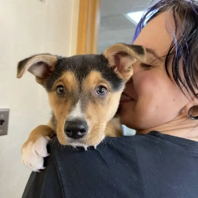 Clinic Needs - Equipment Prep Assistant