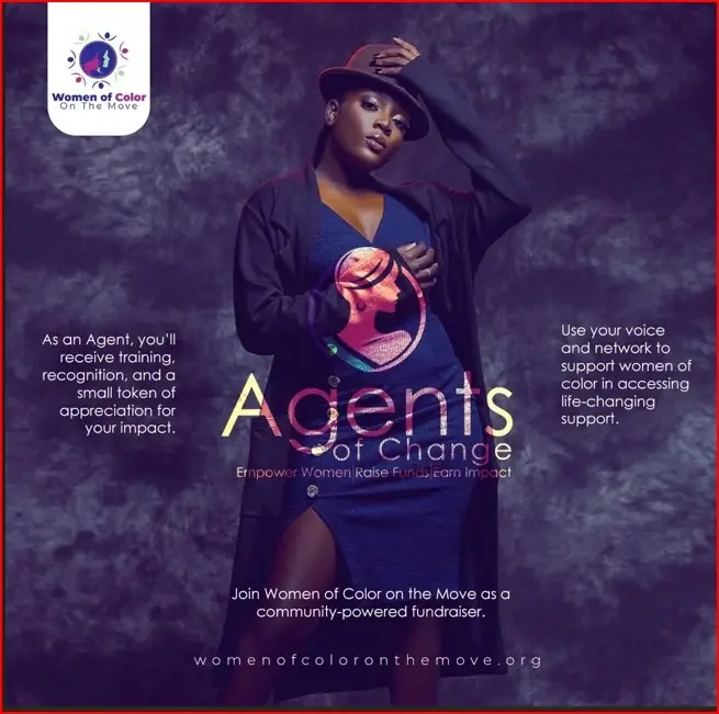 Vice President of Development (Volunteer Position)