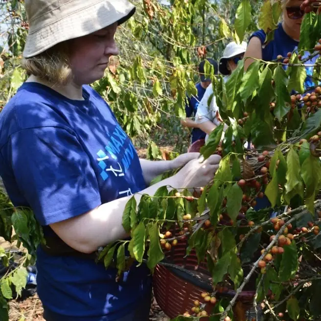 Eco-Agriculture Volunteering in Guatemala