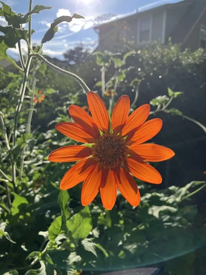 Youth Program Coordinator