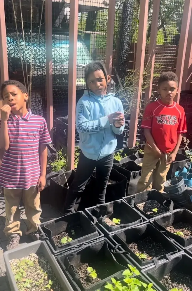 Youth Group Facilitator (STEAM-Based)