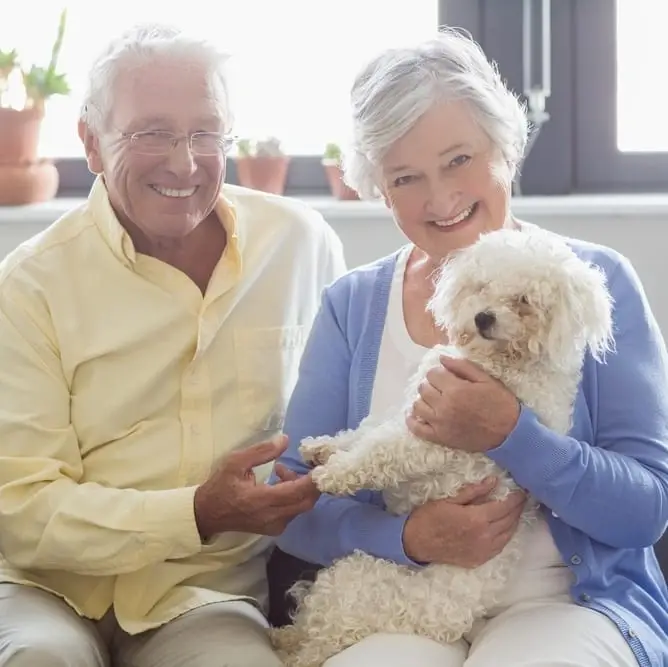 Pet Pal Volunteer