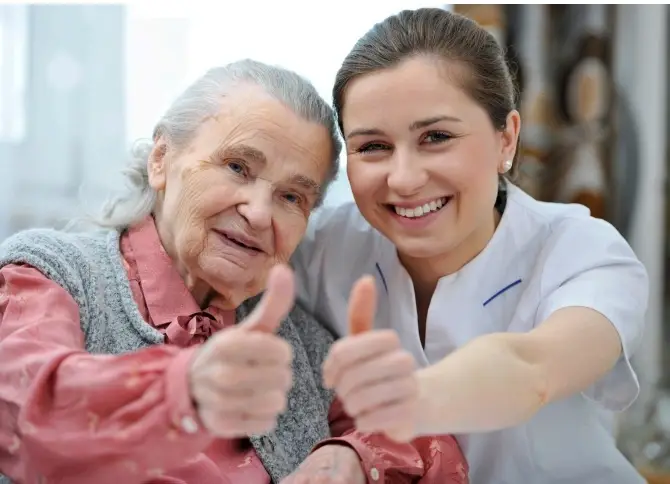 Lily Hospice Companions (Slinger/Jackson area)