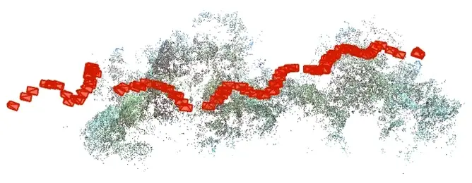 Scientific Advisor for Coral Reef Conservation (Remote)