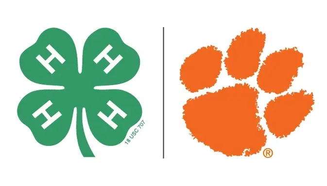 2026 Lowcountry 4-H Convention