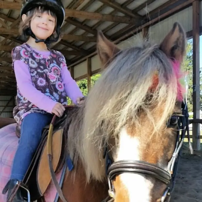 Animal and horticulture program volunteers - horses, animals, gardens & greenhouse