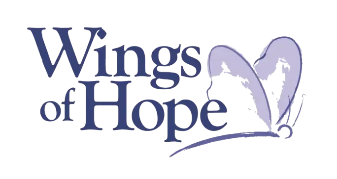 Seeking Veterans to Connect with Veterans on Hospice