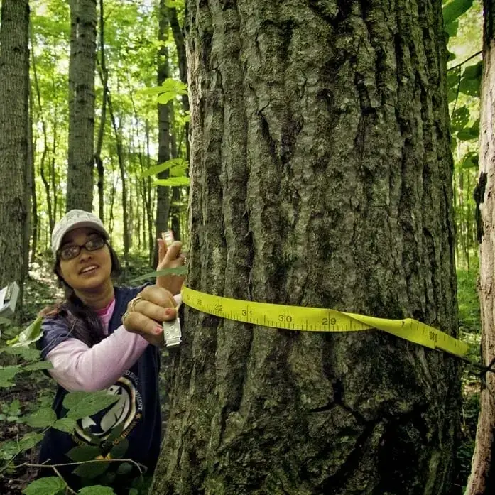 Birdscape Botanist (native vegetation monitor)