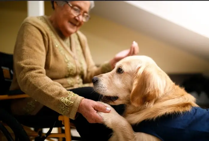 Make Visits Meaningful | Pet Therapy Volunteers for Hospice