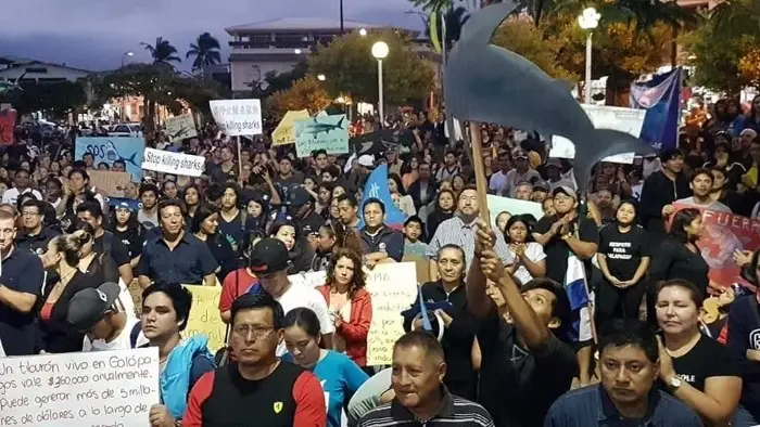 group of people protesting