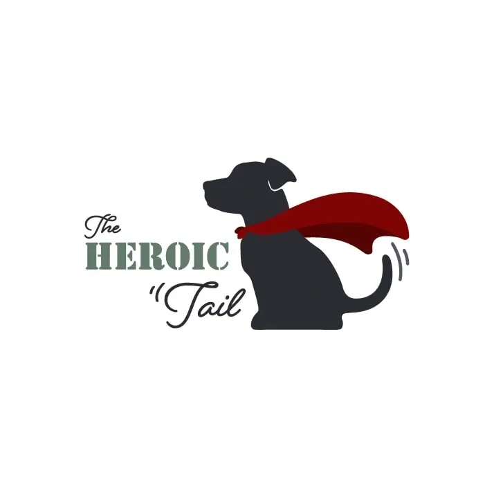 Social Media Content Creator