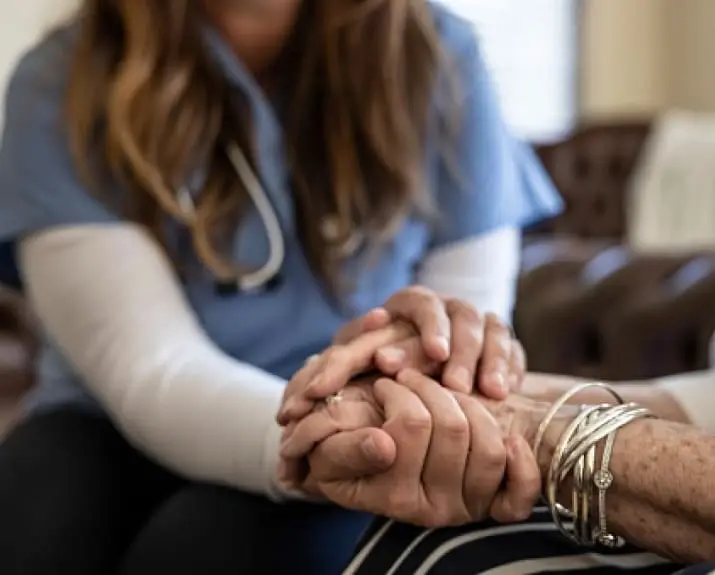 Hospice Volunteer for Companionship in Ann Arbor/Ypsilanti