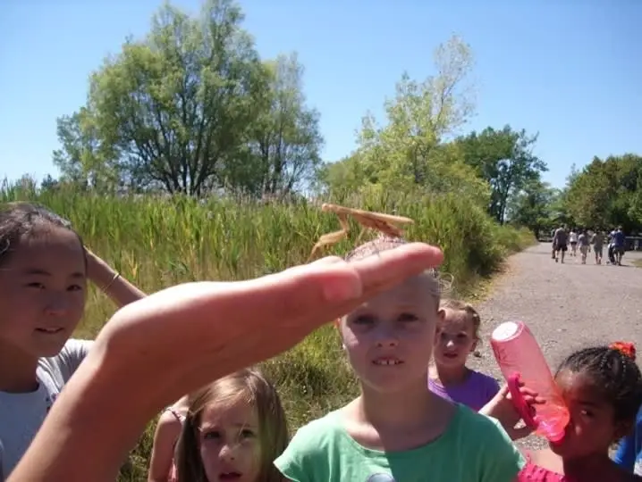 Do you enjoy being outdoors sharing the wonders of nature with children? Become a Tifft Tour Guide.