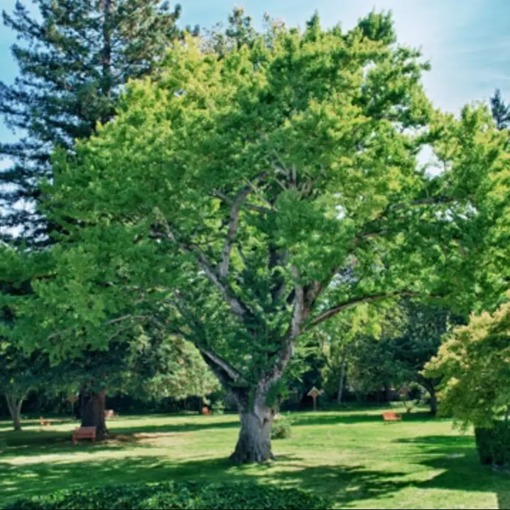 Great need for volunteers for CF Summer Retreat!