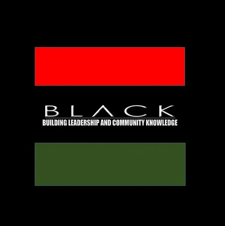 Program Director - ADOS - Youth In Action